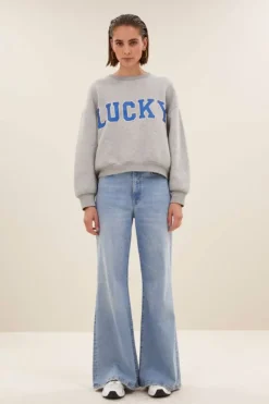Sweaters|Truien*By bar bibi lucky sparkle sweater | grey melee