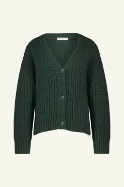 Vesten*By bar bobbi cardigan | dark green