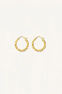 Oorbellen|Sieraden*By bar PD mees earring | gold