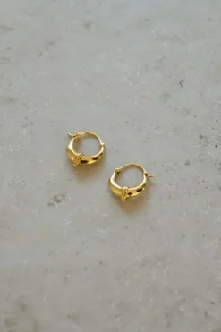 Oorbellen|Sieraden*By bar PD sam earring S | gold